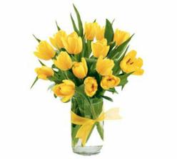 přemýšlím nad kyticí z růžiček v kombinaci s tulipány