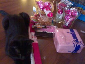 charlie hlida druhou varku kravinek co jsme dnes nakoupili :-)