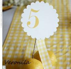 gingham print