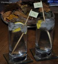 Zkouska michatek na welcome drink.