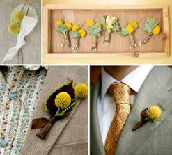 Billy Buttons jsem moc chtela minule leto...