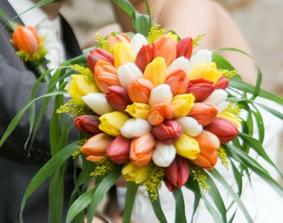 tulipaaaany