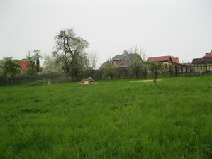 Náš pozemek a dnes (29.4.2013) začínáme (o=