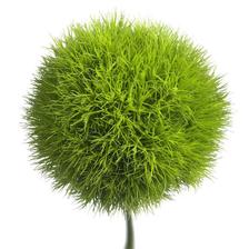 green trick :-) :-) ....zamilovala jsem se :-)
