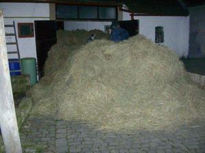 Tahle hromada byla pod strechou, byly toho 4 vlecky, venovali jsme to myslivcum