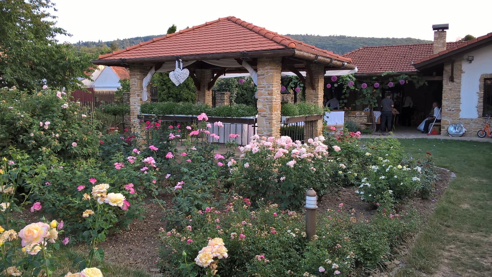 Ohlédnutí za létem 2015 :) - Penzion v zahradě růží - Roseta Radějov