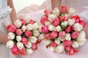 BUDU TO TULIPANY TO JE UZ NA MILION PERCENT
