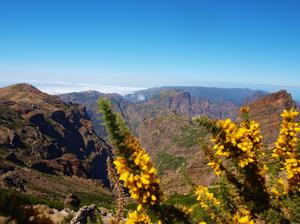 Svatební cesta Madeira