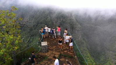 Svatební cesta Madeira