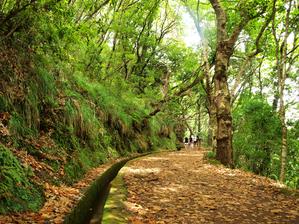 Svatební cesta Madeira
