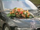auto by som chcela zo zivych kvetov