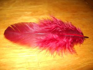 ....a detail... 8)