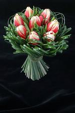 Kdybych chtěla tulipány, tak zvolím tuto kytku.