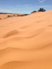 Coral Pink Sand Dunes - tma kde platí "kde sa piesok lial..." ten piesok bol neuveriteľný!