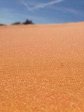 Coral Pink Sand Dunes - tma kde platí "kde sa piesok lial..." ten piesok bol neuveriteľný!