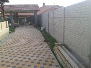 kocur na kontrole