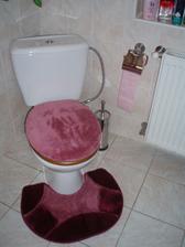 WC v dolnej kúpeľni. Zaujímavé odrazy blesku pri fotení :-)