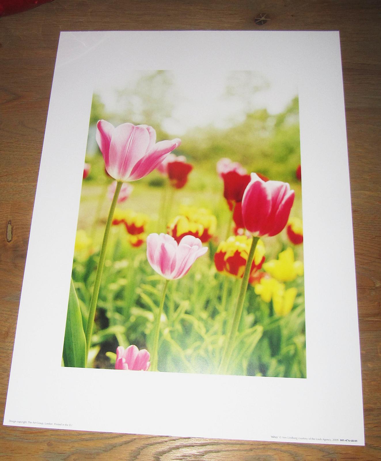 Print tulipány, print Lúčne kvety, print Lúka - 40 cm x 30 cm - Obrázok č. 1