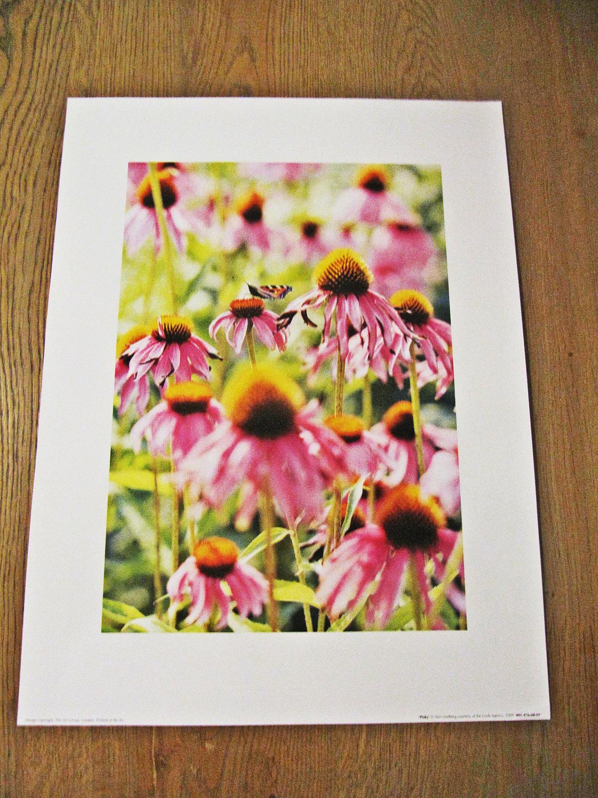 Print tulipány, print Lúčne kvety, print Lúka - 40 cm x 30 cm - Obrázok č. 2