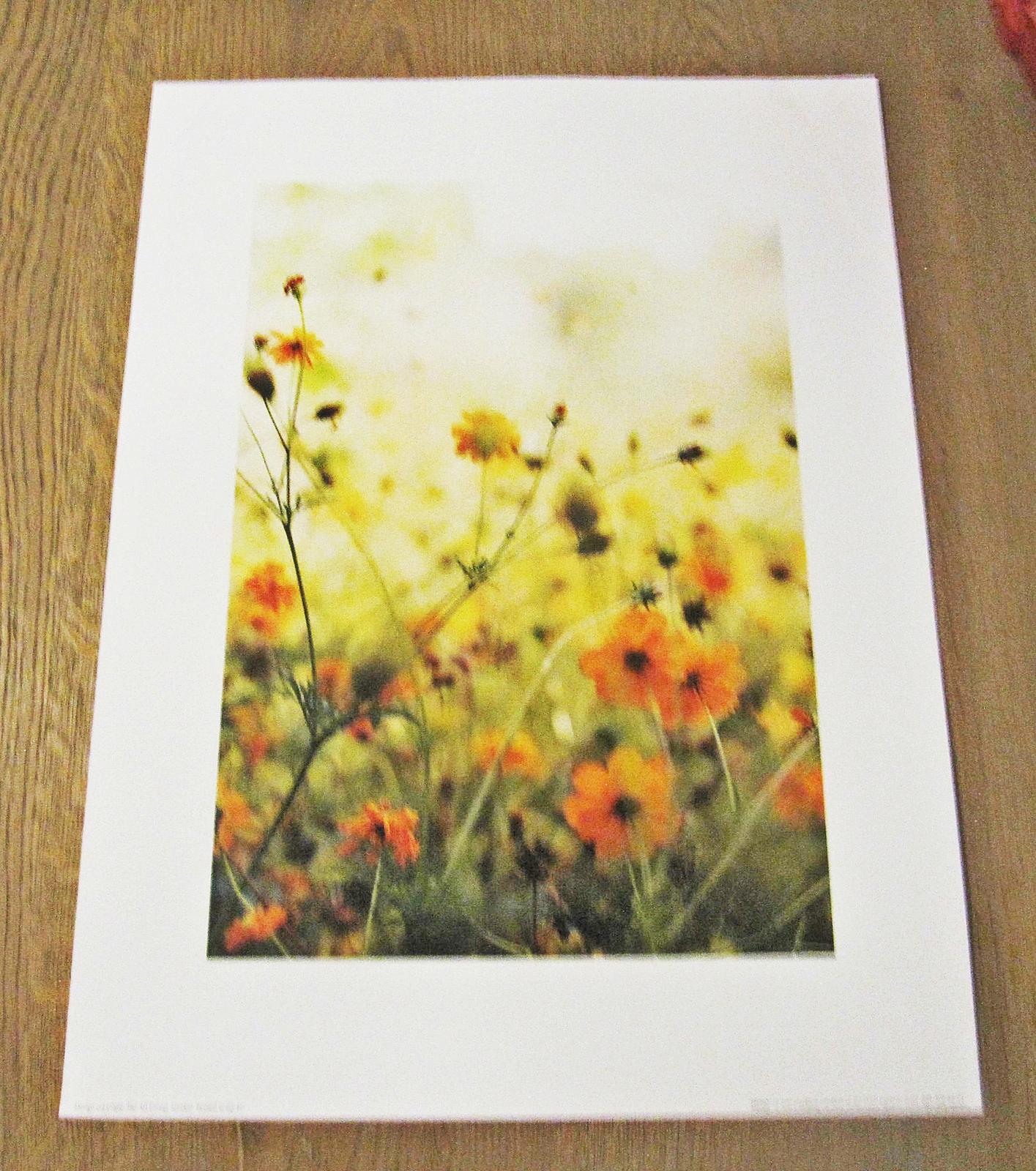Print tulipány, print Lúčne kvety, print Lúka - 40 cm x 30 cm - Obrázok č. 4