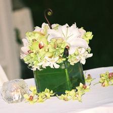 orchidey