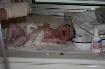 po neskutečných peripetiích a přemlouvání aby zůstala ta naše kočenka v půpíku je tady, o měsíc dříve ale s úctyhodnou váhou 3300g a 49cm naštěstí naprosto v pořádku slečna Beátka Bouzková - 5.1.2009