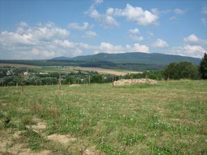 Osadene drevene koly III.