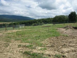 Plot VII.