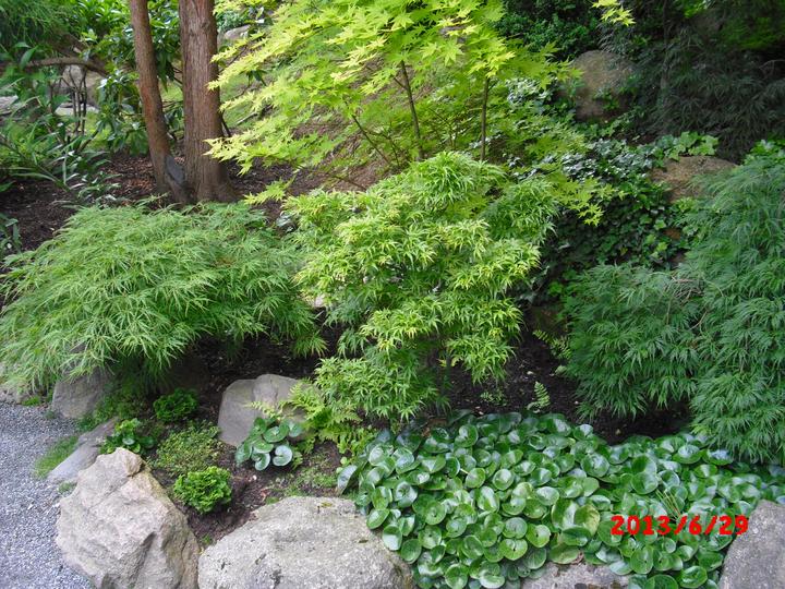 Japonská zahrada - tak i já jsem podlehla jejímu kouzlu - Obrázek č. 2