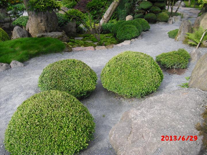 Japonská zahrada - tak i já jsem podlehla jejímu kouzlu - Obrázek č. 41