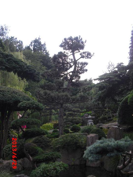 Japonská zahrada - tak i já jsem podlehla jejímu kouzlu - Obrázek č. 18