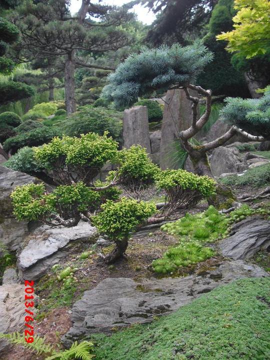 Japonská zahrada - tak i já jsem podlehla jejímu kouzlu - Obrázek č. 19