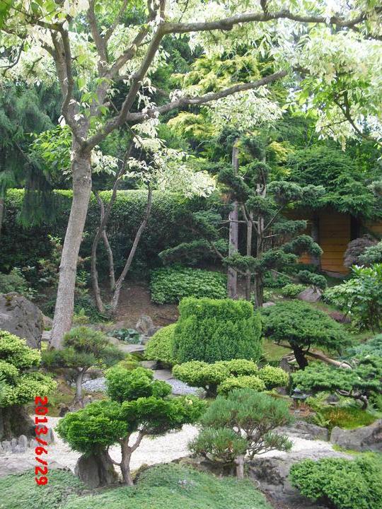 Japonská zahrada - tak i já jsem podlehla jejímu kouzlu - Obrázek č. 21