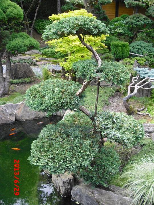 Japonská zahrada - tak i já jsem podlehla jejímu kouzlu - Obrázek č. 27