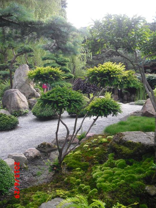 Japonská zahrada - tak i já jsem podlehla jejímu kouzlu - Obrázek č. 31