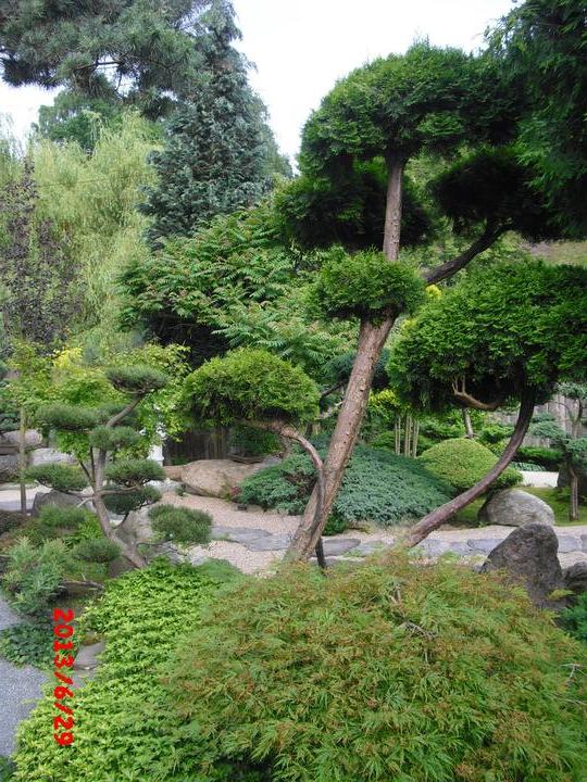 Japonská zahrada - tak i já jsem podlehla jejímu kouzlu - Obrázek č. 32