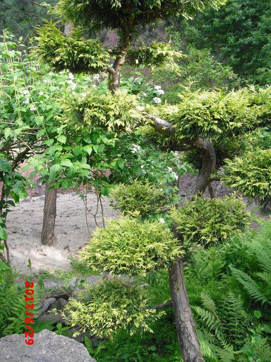Japonská zahrada - tak i já jsem podlehla jejímu kouzlu - Obrázek č. 37
