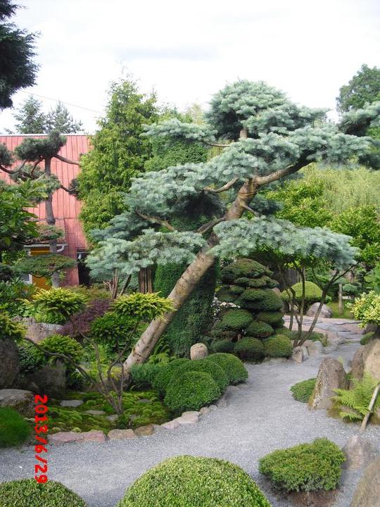 Japonská zahrada - tak i já jsem podlehla jejímu kouzlu - Obrázek č. 42