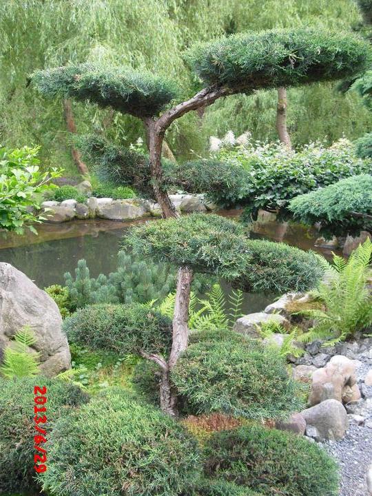 Japonská zahrada - tak i já jsem podlehla jejímu kouzlu - Obrázek č. 54