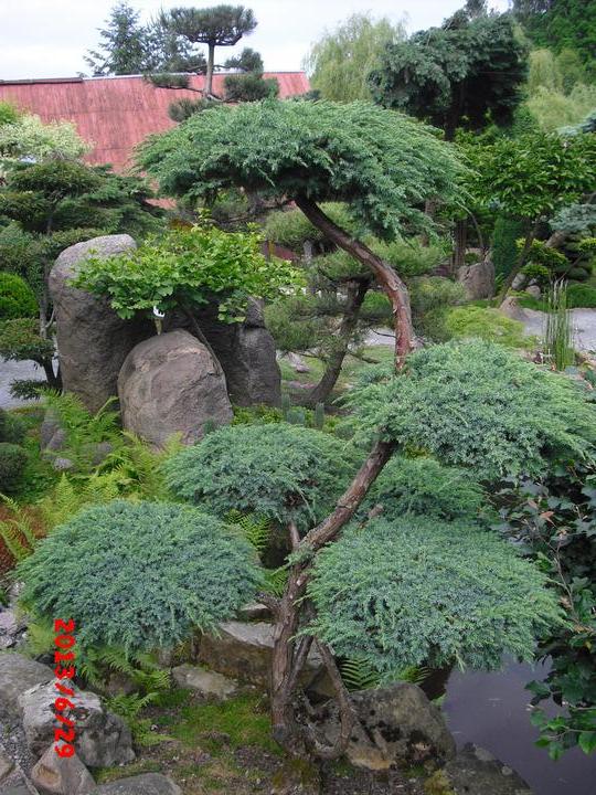 Japonská zahrada - tak i já jsem podlehla jejímu kouzlu - Obrázek č. 60
