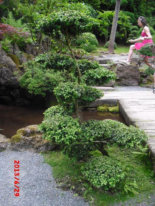 Japonská zahrada - tak i já jsem podlehla jejímu kouzlu - Obrázek č. 69