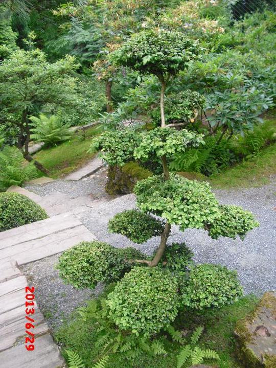 Japonská zahrada - tak i já jsem podlehla jejímu kouzlu - Obrázek č. 73