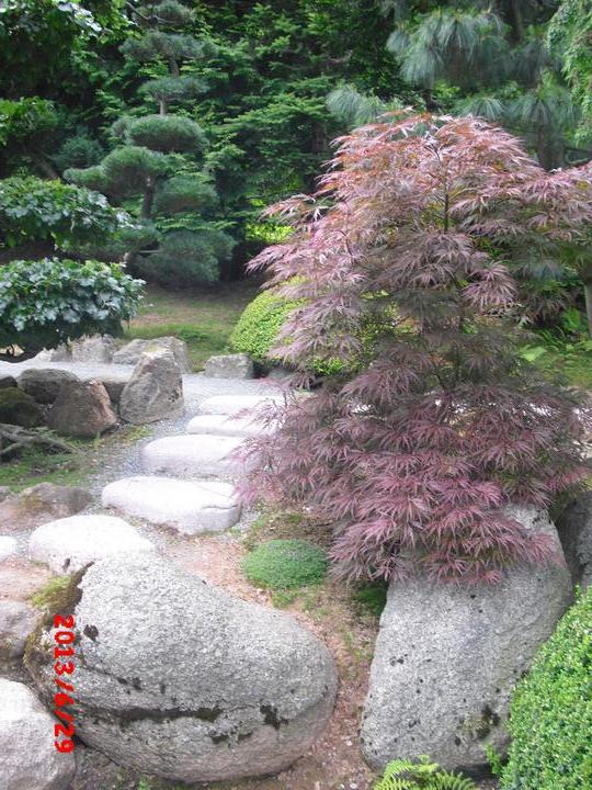 Japonská zahrada - tak i já jsem podlehla jejímu kouzlu - Obrázek č. 82