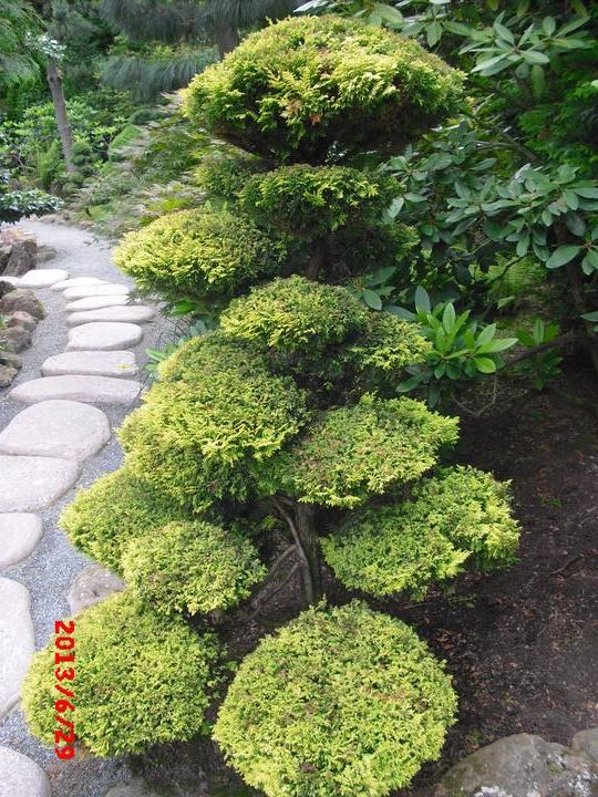 Japonská zahrada - tak i já jsem podlehla jejímu kouzlu - Obrázek č. 89
