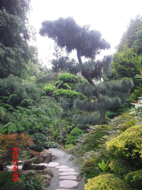Japonská zahrada - tak i já jsem podlehla jejímu kouzlu - Obrázek č. 90