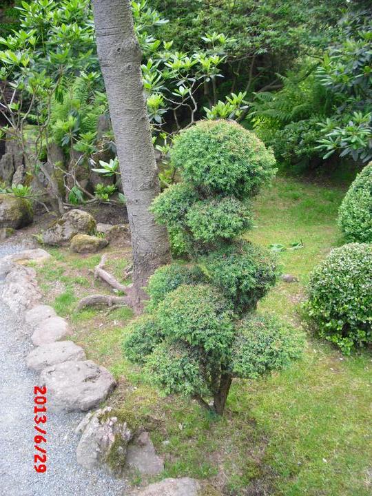 Japonská zahrada - tak i já jsem podlehla jejímu kouzlu - Obrázek č. 97
