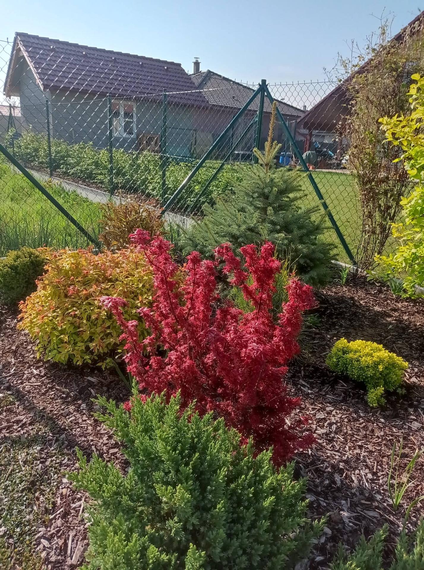 Zahrada srpen 2018-květen 2022 - Obrázek č. 10