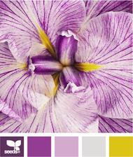 fialove inspiracie od @ruthy :-)