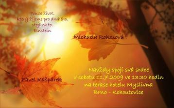 .... nemůžu .....