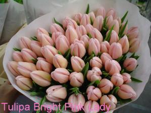 tulipany vyhrali a vyberam si farbu. priatelove oblubene ziskali 3. miesto ;o)